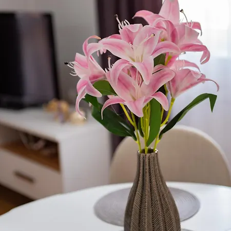 Amarilis