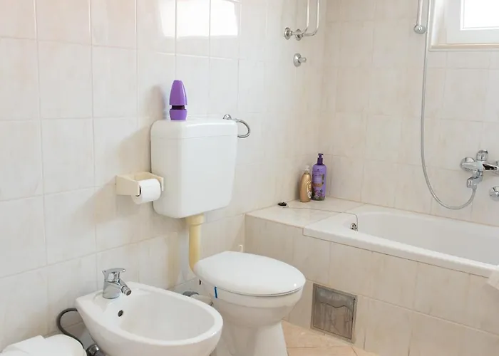 Amarilis * موستار